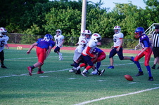 Enlarge photo 287