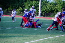 Enlarge photo 290