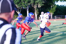 Enlarge photo 305