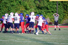 Enlarge photo 306