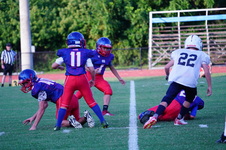 Enlarge photo 313