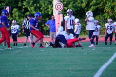 Enlarge photo 340