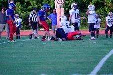 Enlarge photo 339