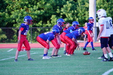Enlarge photo 343
