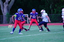 Enlarge photo 361