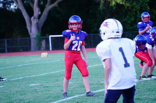 Enlarge photo 371