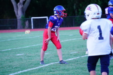 Enlarge photo 374