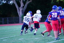Enlarge photo 382
