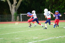 Enlarge photo 397