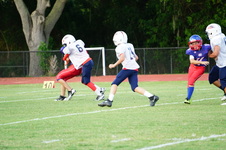 Enlarge photo 398