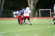 Enlarge photo 402