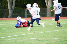 Enlarge photo 406