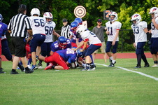 Enlarge photo 427
