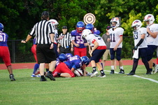 Enlarge photo 431