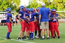 Enlarge photo 445