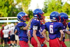 Enlarge photo 452