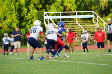 Enlarge photo 462