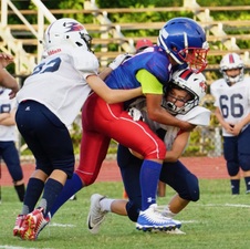 Enlarge photo 463