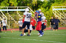 Enlarge photo 466
