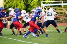 Enlarge photo 473