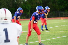 Enlarge photo 478