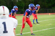 Enlarge photo 479