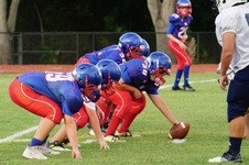 Enlarge photo 483