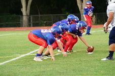 Enlarge photo 484