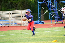 Enlarge photo 490