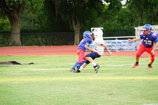 Enlarge photo 491