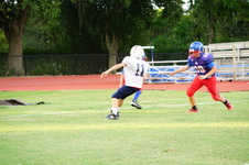 Enlarge photo 493