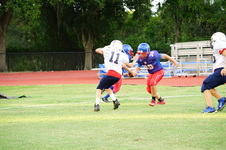 Enlarge photo 492