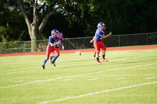 Enlarge photo 37