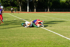 Enlarge photo 42