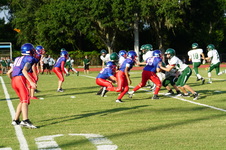Enlarge photo 47