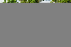 Enlarge photo 243
