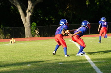 Enlarge photo 69