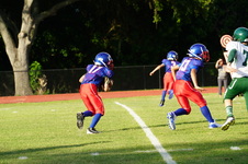 Enlarge photo 71