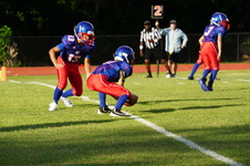 Enlarge photo 72