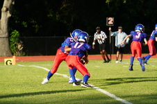 Enlarge photo 73