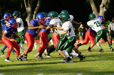 Enlarge photo 87