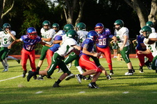Enlarge photo 91