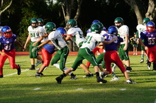 Enlarge photo 92