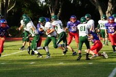 Enlarge photo 93