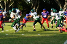 Enlarge photo 94
