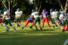 Enlarge photo 95