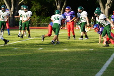 Enlarge photo 96