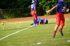 Enlarge photo 135