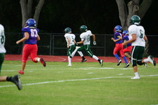 Enlarge photo 175
