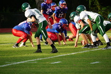 Enlarge photo 181